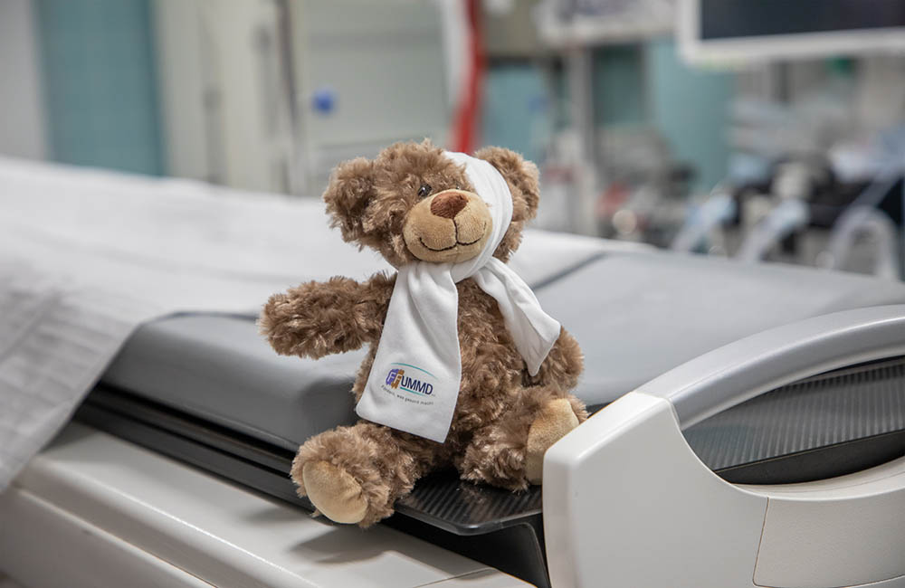 Trost-Teddy
